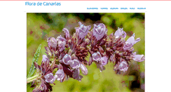 Desktop Screenshot of floracanaria.com